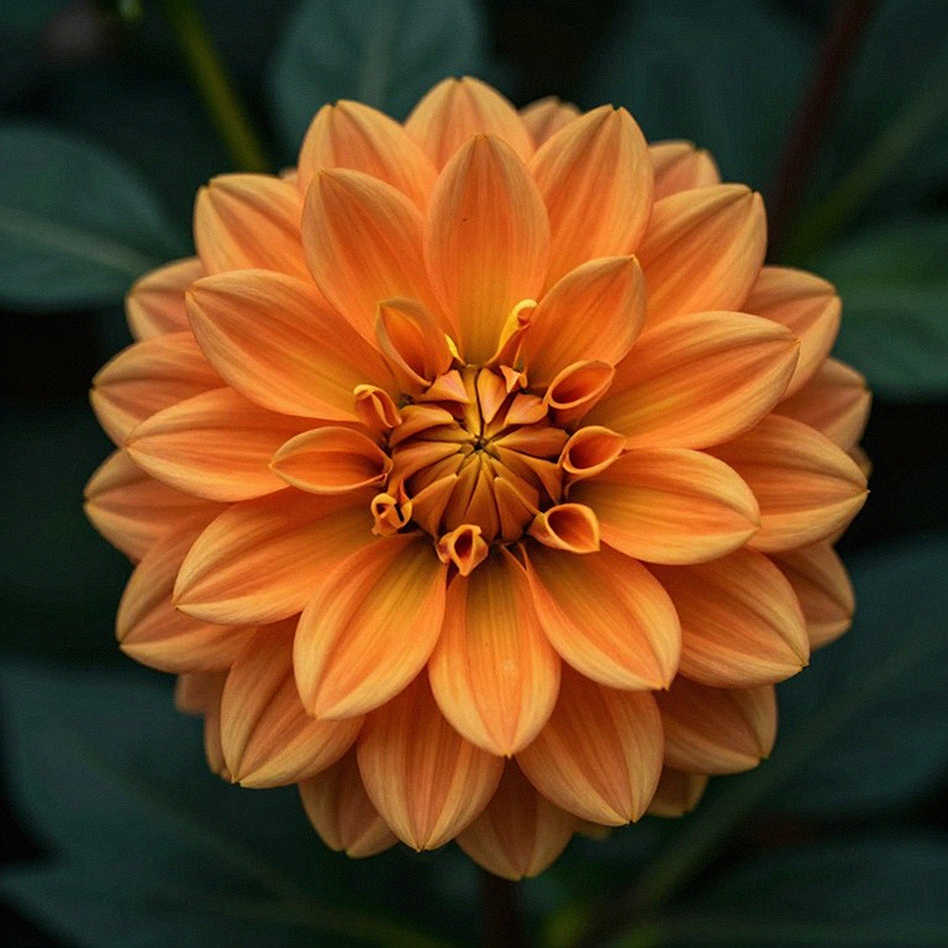 WPBSA trục xuất vĩnh viễn Graeme Dott: Phán quyết từ Glasgow và bài toán quản trị snooker